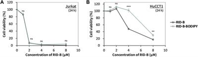 Synthesis of BODIPY FL-tethered ridaifen-B, RID-B-BODIPY, and its localization in cancer cells